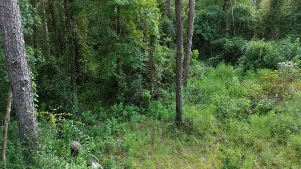 Lot 1 Donaldson Williams Rd, Crawfordville, FL 32327