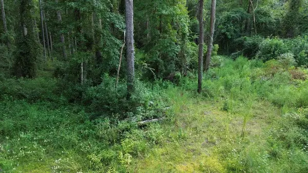 Lot 1 Donaldson Williams Rd, Crawfordville, FL 32327