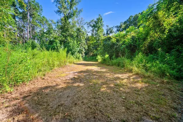 Lot 1 Donaldson Williams Rd, Crawfordville, FL 32327