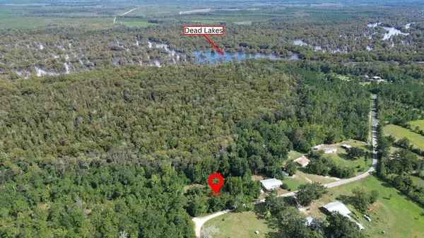 388 N Bass Dr, Wewahitchka, FL 32465