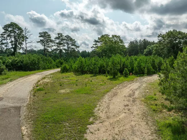 33 Columbia Purvis Rd., Columbia, MS 39429