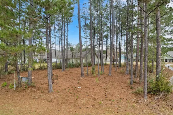 46 N Founders WAY, Hattiesburg, MS 39401