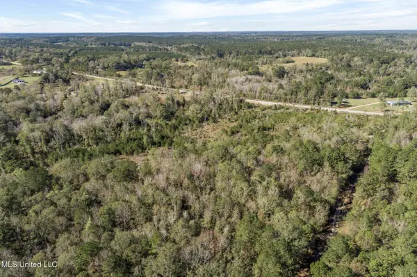 111 Ms-44, Sumrall, MS 39482