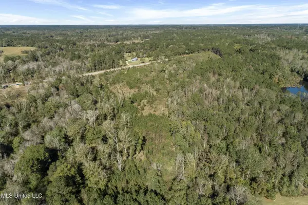111 Ms-44, Sumrall, MS 39482