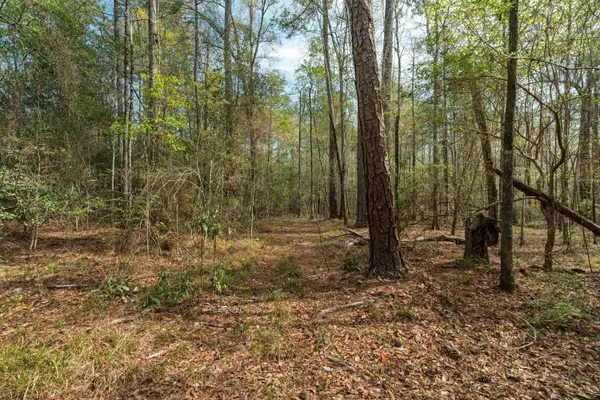 9460 Janice Brooklyn Rd., Brooklyn, MS 39425