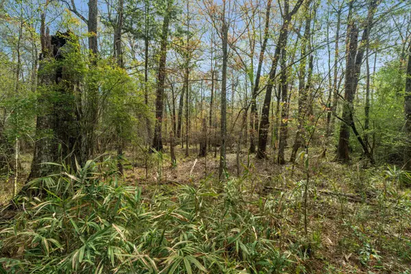 9460 Janice Brooklyn Rd., Brooklyn, MS 39425