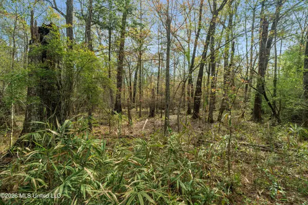 9460 Janice Brooklyn Road, Brooklyn, MS 39425