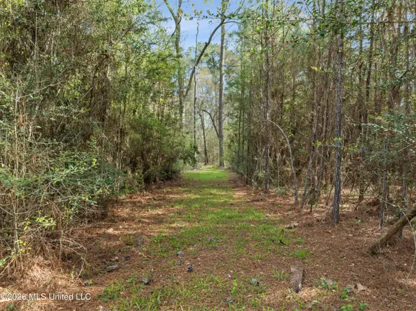 9460 Janice Brooklyn Road, Brooklyn, MS 39425