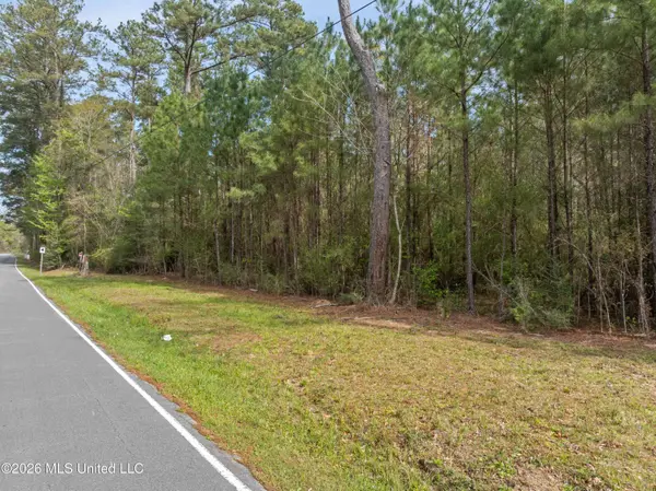 9460 Janice Brooklyn Road, Brooklyn, MS 39425