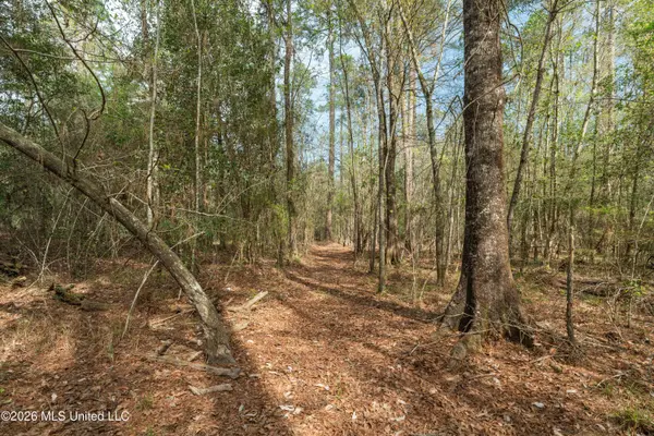 9460 Janice Brooklyn Road, Brooklyn, MS 39425