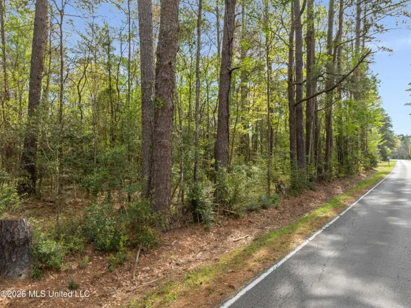 9460 Janice Brooklyn Road, Brooklyn, MS 39425