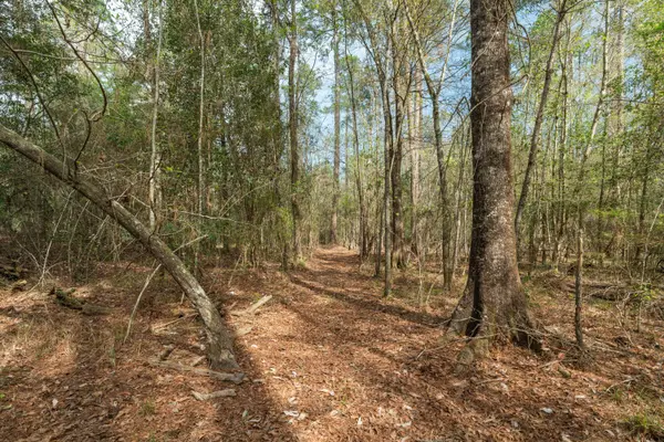 9460 Janice Brooklyn Rd., Brooklyn, MS 39425