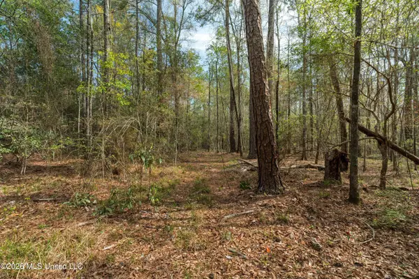 9460 Janice Brooklyn Road, Brooklyn, MS 39425