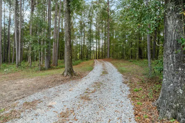 75 Otis Lee Rd., Petal, MS 39465