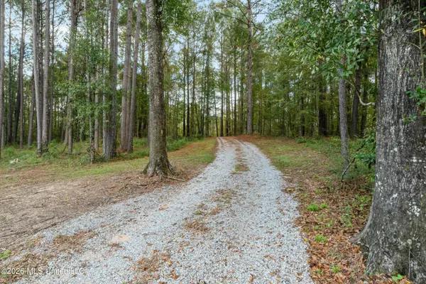 75 Otis Lee Road, Petal, MS 39465