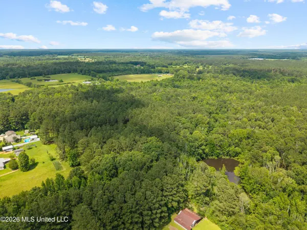 0 New Home Church Road, Jayess, MS 39641