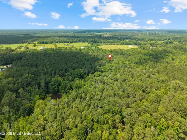 0 New Home Church Road, Jayess, MS 39641
