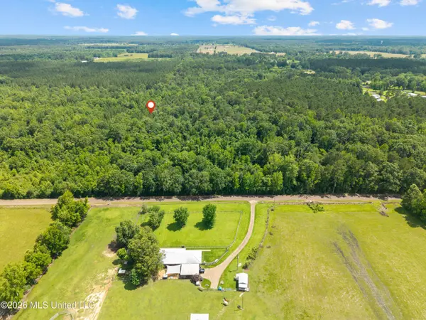 0 New Home Church Road, Jayess, MS 39641