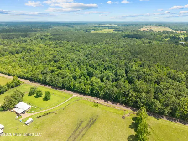 0 New Home Church Road, Jayess, MS 39641