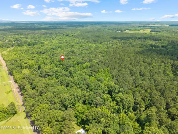 0 New Home Church Road, Jayess, MS 39641