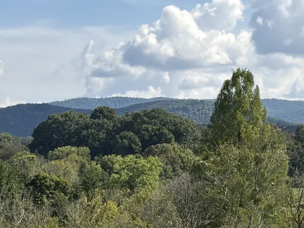 Apple Picking Near Atlanta: An Easy Fall Day Trip in the North Georgia Mountains