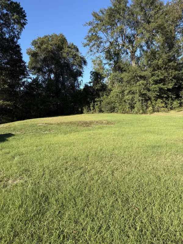 Lot 29 Clinton Dr., Petal, MS 39465
