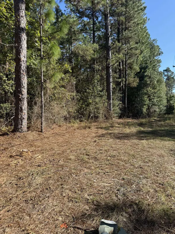 00 Carter Cir., Hattiesburg, MS 39402