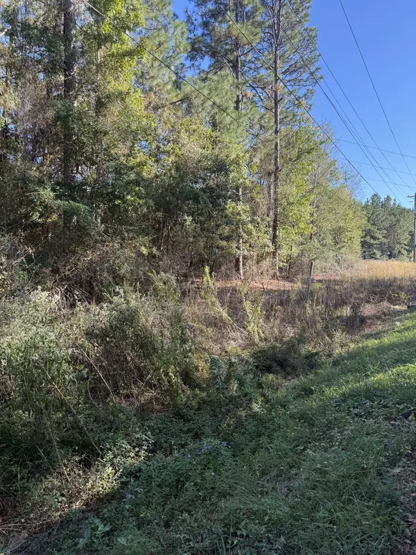 00 Carter Cir., Hattiesburg, MS 39402