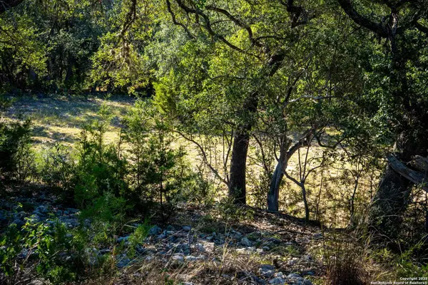 708 Malaga, Canyon Lake, TX 78133