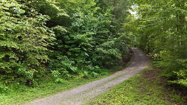 0 Steer Creek RD, Tellico Plains, TN 37385