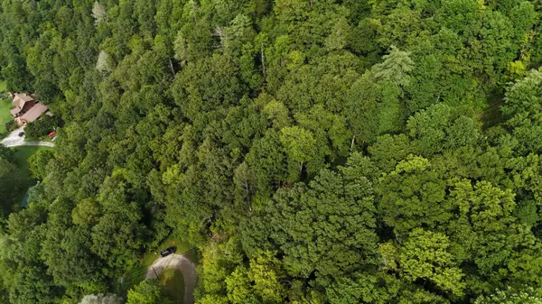 0 Steer Creek RD, Tellico Plains, TN 37385