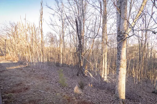 8820 Balata DR, Ooltewah, TN 37363