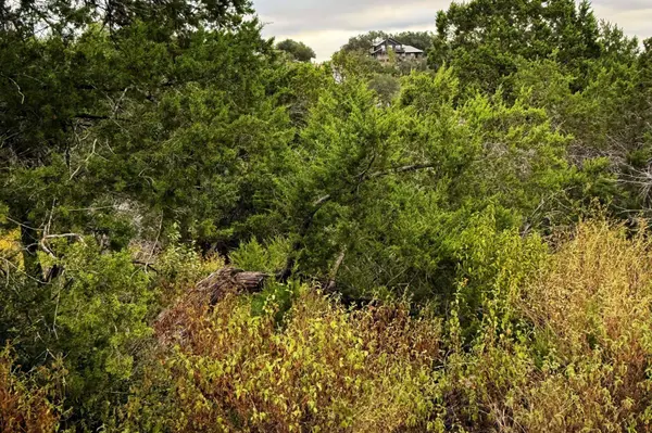 13910 Saskatchewan DR, Austin, TX 78734