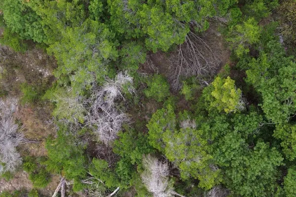 13910 Saskatchewan DR, Austin, TX 78734