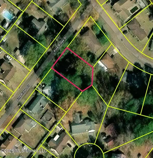 2906 Pine Ridge Drive, Pearl, MS 39208