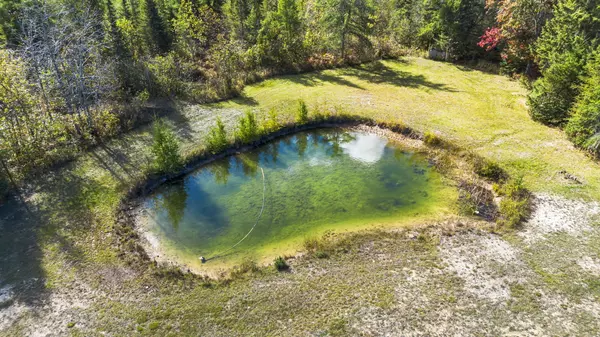 Atlanta, MI 49709-8602,16701 Roth Rd