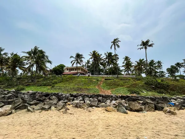 Elevated coastal home with palm trees near the Mississippi Gulf Coast