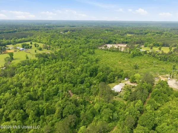 84 Mount Canaan Road, Tylertown, MS 39667