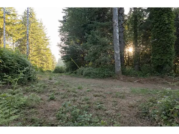 Elk City Rd, Toledo, OR 97391
