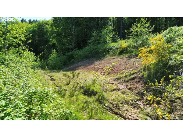 19538 TL Old Rainier Rd, Rainier, OR 97048