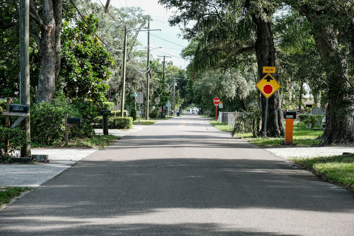 Quiet tree-lined residential street with mature oaks