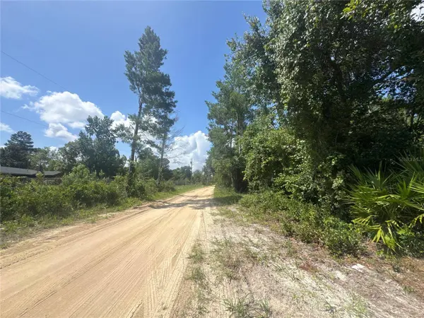 0 NORTH CIR E, Paisley, FL 32767