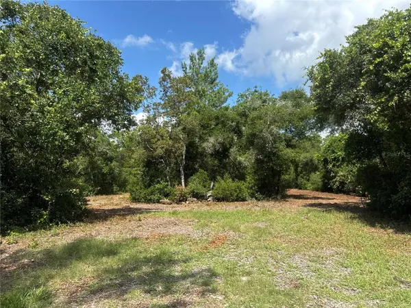 0 NORTH CIR E, Paisley, FL 32767