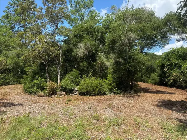 0 NORTH CIR E, Paisley, FL 32767