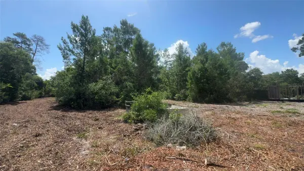 0 NORTH CIR E, Paisley, FL 32767