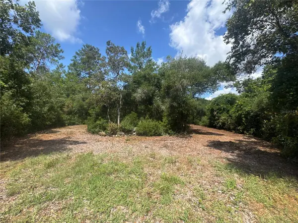 0 NORTH CIR E, Paisley, FL 32767