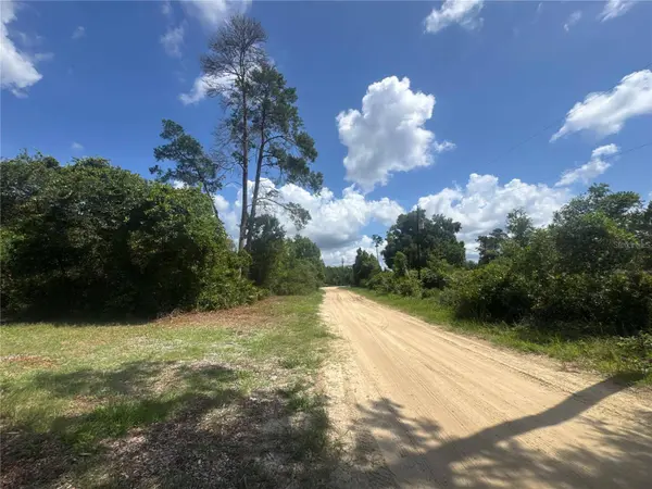 0 NORTH CIR E, Paisley, FL 32767