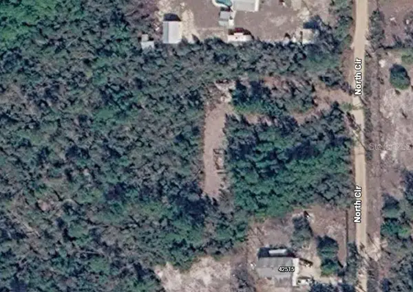 0 NORTH CIR E, Paisley, FL 32767