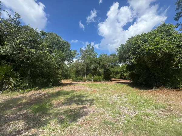 0 NORTH CIR E, Paisley, FL 32767