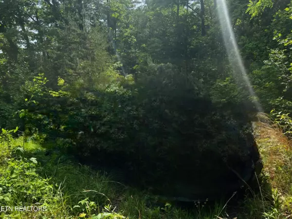 000 Vista DR, Gatlinburg, TN 37738